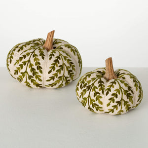 Olive & Cream Pumpkins