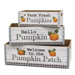 Welcome to the Pumpkin Patch Crate