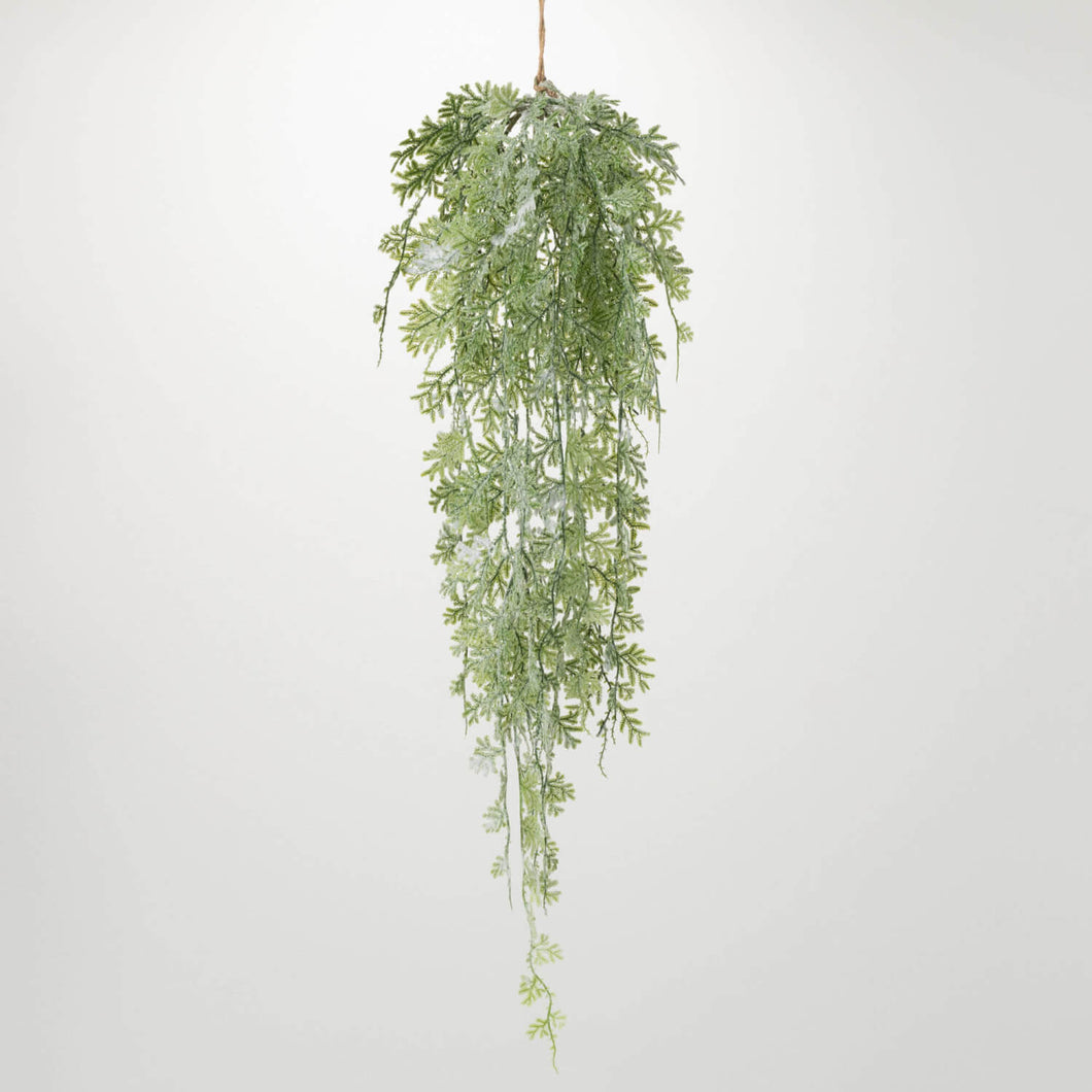 Frosted Fern Hanging Pick