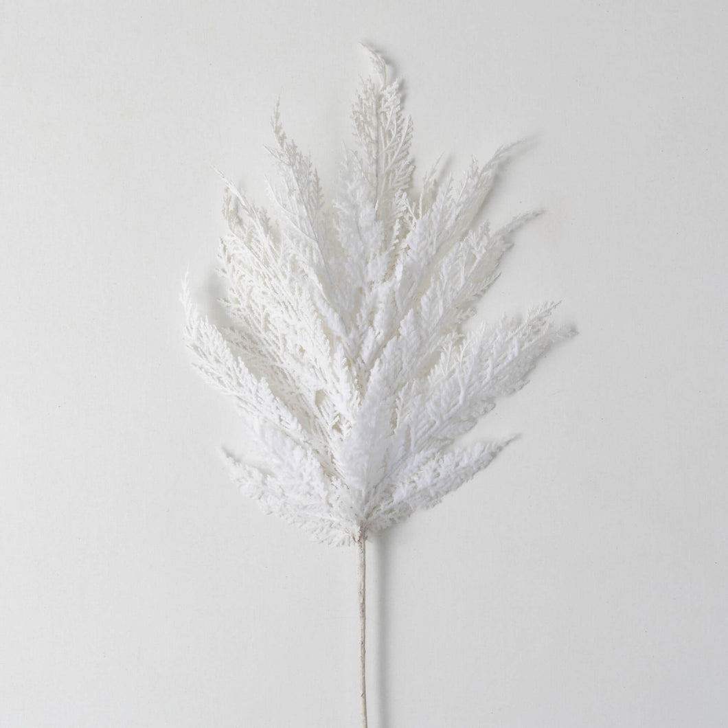 White Cypress Pick