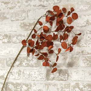 Rust Penny Leaf Spray
