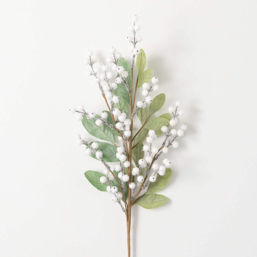 Lambs Ear and Berry Pick