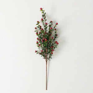 Christmas Boxwood Berry Pick