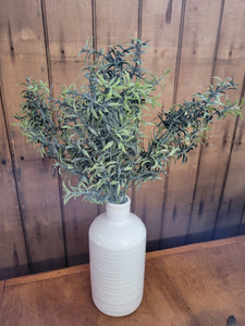Rosemary Bush