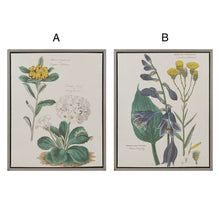 Load image into Gallery viewer, Cottage Botanical Vintage Plant Study Canvas Wall Art
