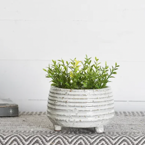 White Line Footed Planter