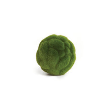 Load image into Gallery viewer, Mood Moss Ball
