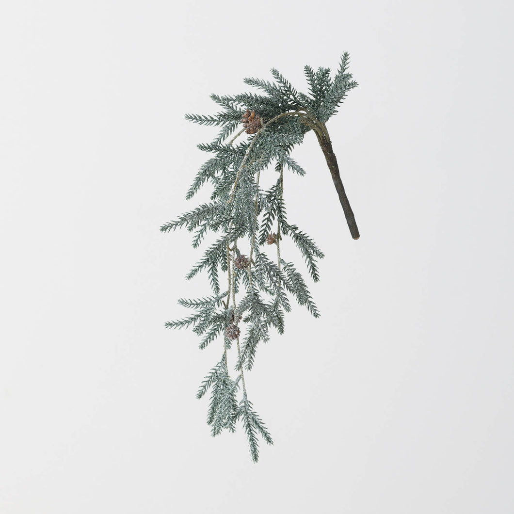 Pine with Snow Pick