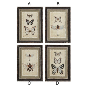 Framed Wall Decor with Insect Print