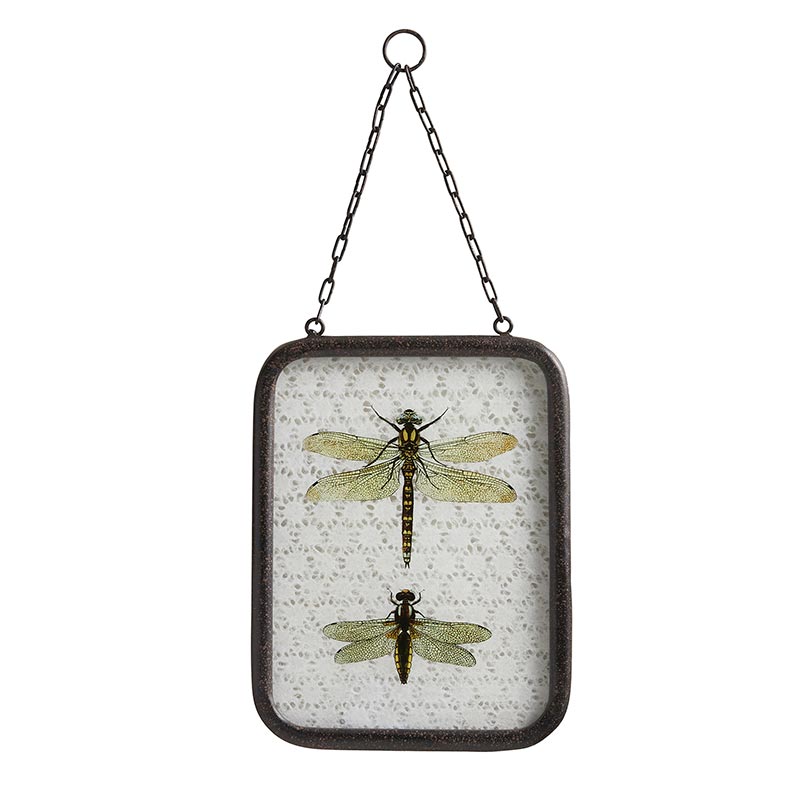 Dragonfly Delight Frame
