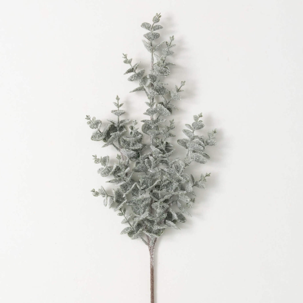 Snowy Eucalyptus Pick
